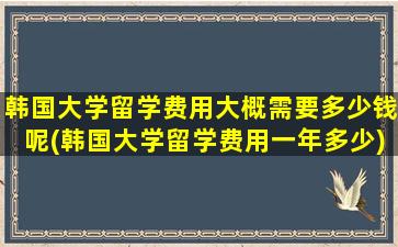 韩国大学留学费用大概需要多少钱呢(韩国大学留学费用一年多少)