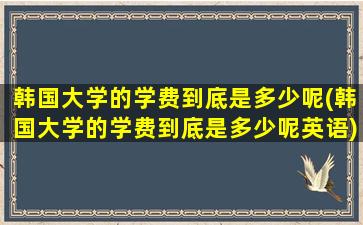 韩国大学的学费到底是多少呢(韩国大学的学费到底是多少呢英语)