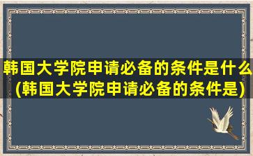 韩国大学院申请必备的条件是什么(韩国大学院申请必备的条件是)