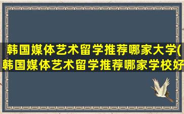 韩国媒体艺术留学推荐哪家大学(韩国媒体艺术留学推荐哪家学校好)