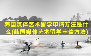 韩国媒体艺术留学申请方法是什么(韩国媒体艺术留学申请方法)