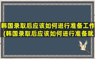 韩国录取后应该如何进行准备工作(韩国录取后应该如何进行准备就业)