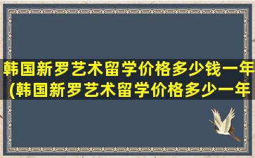 韩国新罗艺术留学价格多少钱一年(韩国新罗艺术留学价格多少一年)