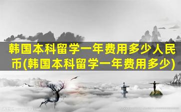 韩国本科留学一年费用多少人民币(韩国本科留学一年费用多少)