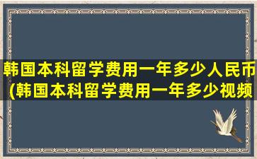 韩国本科留学费用一年多少人民币(韩国本科留学费用一年多少视频)