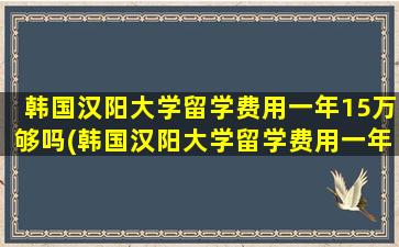 韩国汉阳大学留学费用一年15万够吗(韩国汉阳大学留学费用一年多少大学可以申请硕博连读吗)