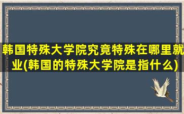 韩国特殊大学院究竟特殊在哪里就业(韩国的特殊大学院是指什么)