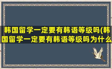 韩国留学一定要有韩语等级吗(韩国留学一定要有韩语等级吗为什么)