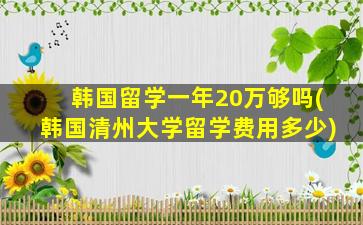 韩国留学一年20万够吗(韩国清州大学留学费用多少)