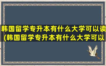 韩国留学专升本有什么大学可以读(韩国留学专升本有什么大学可以报)