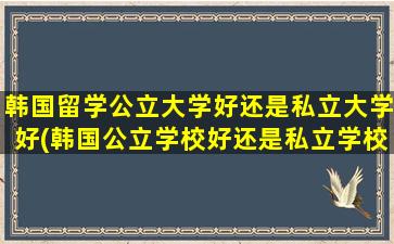 韩国留学公立大学好还是私立大学好(韩国公立学校好还是私立学校好)