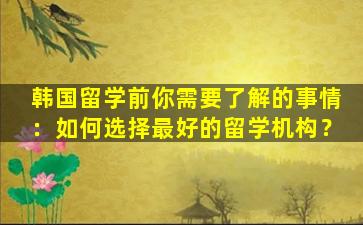 韩国留学前你需要了解的事情：如何选择最好的留学机构？