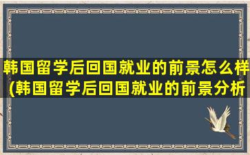 韩国留学后回国就业的前景怎么样(韩国留学后回国就业的前景分析)