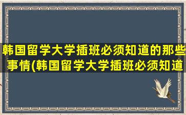 韩国留学大学插班必须知道的那些事情(韩国留学大学插班必须知道的那些事是什么)