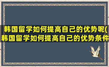 韩国留学如何提高自己的优势呢(韩国留学如何提高自己的优势条件)