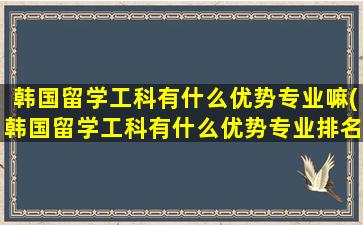 韩国留学工科有什么优势专业嘛(韩国留学工科有什么优势专业排名)