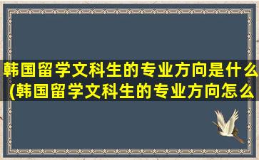 韩国留学文科生的专业方向是什么(韩国留学文科生的专业方向怎么样)