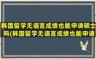 韩国留学无语言成绩也能申请硕士吗(韩国留学无语言成绩也能申请硕士吗为什么)