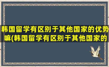 韩国留学有区别于其他国家的优势嘛(韩国留学有区别于其他国家的优势和劣势吗)