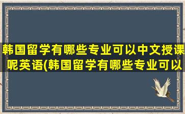 韩国留学有哪些专业可以中文授课呢英语(韩国留学有哪些专业可以中文授课呢)