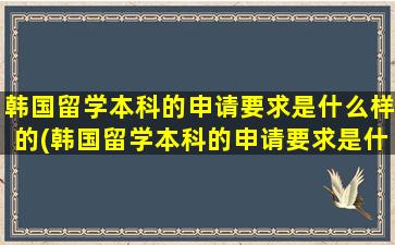 韩国留学本科的申请要求是什么样的(韩国留学本科的申请要求是什么意思)