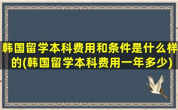 韩国留学本科费用和条件是什么样的(韩国留学本科费用一年多少)