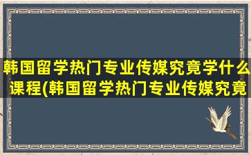 韩国留学热门专业传媒究竟学什么课程(韩国留学热门专业传媒究竟学什么好)