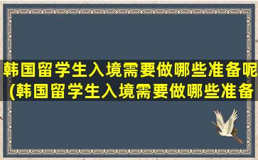 韩国留学生入境需要做哪些准备呢(韩国留学生入境需要做哪些准备材料)