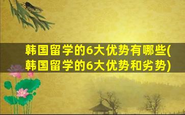 韩国留学的6大优势有哪些(韩国留学的6大优势和劣势)