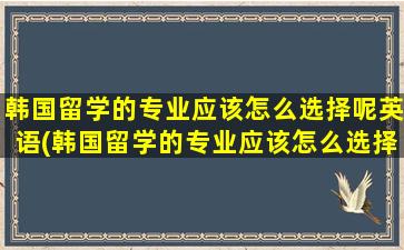 韩国留学的专业应该怎么选择呢英语(韩国留学的专业应该怎么选择呢英文)