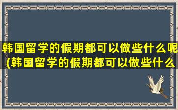 韩国留学的假期都可以做些什么呢(韩国留学的假期都可以做些什么工作)