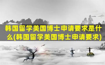 韩国留学美国博士申请要求是什么(韩国留学美国博士申请要求)