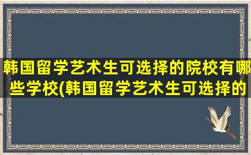 韩国留学艺术生可选择的院校有哪些学校(韩国留学艺术生可选择的院校有哪些大学)