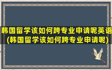 韩国留学该如何跨专业申请呢英语(韩国留学该如何跨专业申请呢)