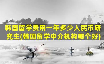 韩国留学费用一年多少人民币研究生(韩国留学中介机构哪个好)