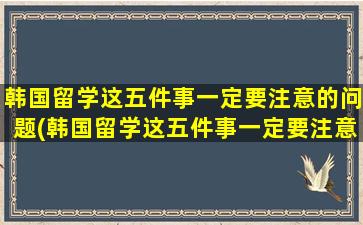 韩国留学这五件事一定要注意的问题(韩国留学这五件事一定要注意哪些问题)