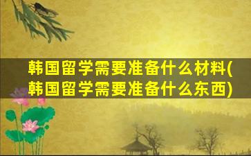 韩国留学需要准备什么材料(韩国留学需要准备什么东西)