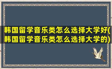 韩国留学音乐类怎么选择大学好(韩国留学音乐类怎么选择大学的)