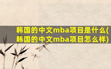 韩国的中文mba项目是什么(韩国的中文mba项目怎么样)