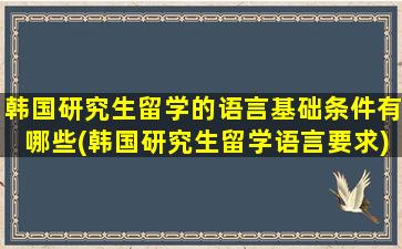 韩国研究生留学的语言基础条件有哪些(韩国研究生留学语言要求)