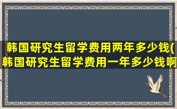 韩国研究生留学费用两年多少钱(韩国研究生留学费用一年多少钱啊)