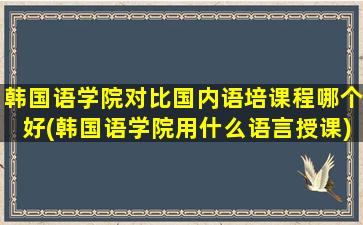 韩国语学院对比国内语培课程哪个好(韩国语学院用什么语言授课)