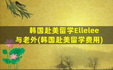 韩国赴美留学Ellelee与老外(韩国赴美留学费用)