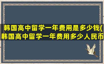 韩国高中留学一年费用是多少钱(韩国高中留学一年费用多少人民币)