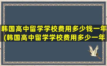 韩国高中留学学校费用多少钱一年(韩国高中留学学校费用多少一年)