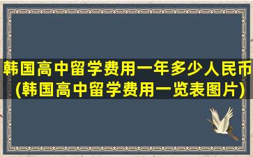 韩国高中留学费用一年多少人民币(韩国高中留学费用一览表图片)