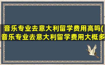 音乐专业去意大利留学费用高吗(音乐专业去意大利留学费用大概多少)