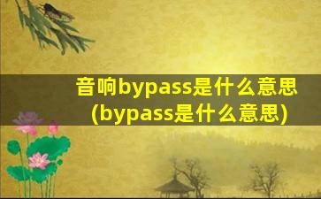 音响bypass是什么意思(bypass是什么意思)