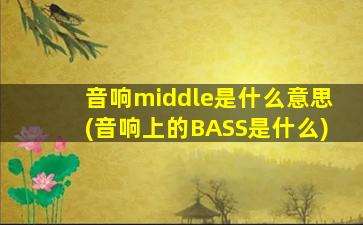 音响middle是什么意思(音响上的BASS是什么)