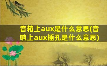 音箱上aux是什么意思(音响上aux插孔是什么意思)